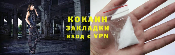 гидропоника Новозыбков