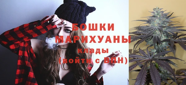 гидропоника Новозыбков