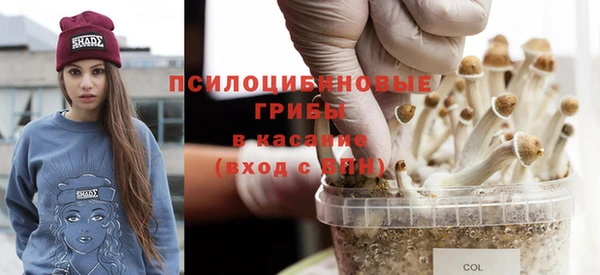 трава Новодвинск