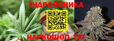 spice Апшеронск