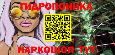 spice Апшеронск