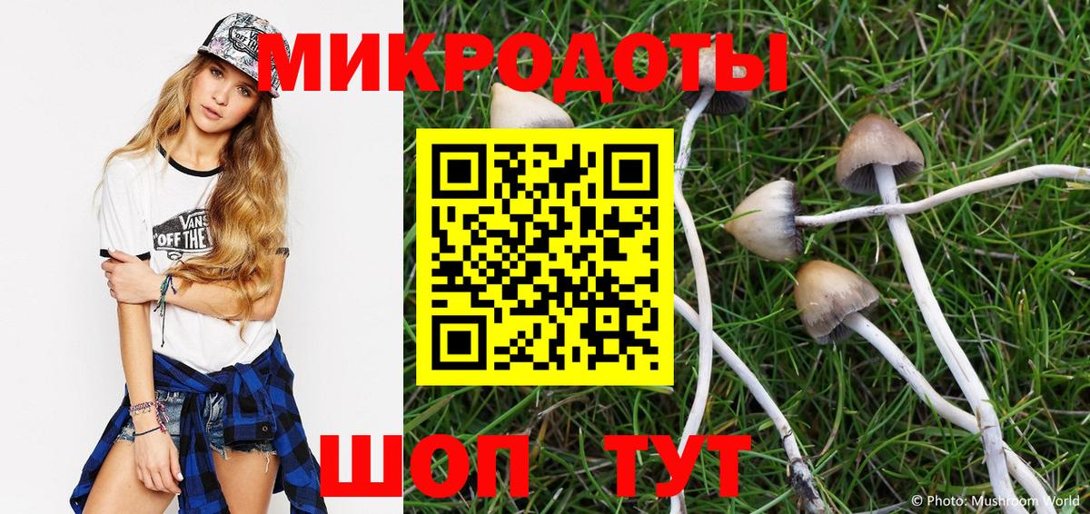 Псилоцибиновые грибы прущие грибы  Вход с VPN  Апшеронск  Псилоцибиновые грибы Psilocybine cubensis 