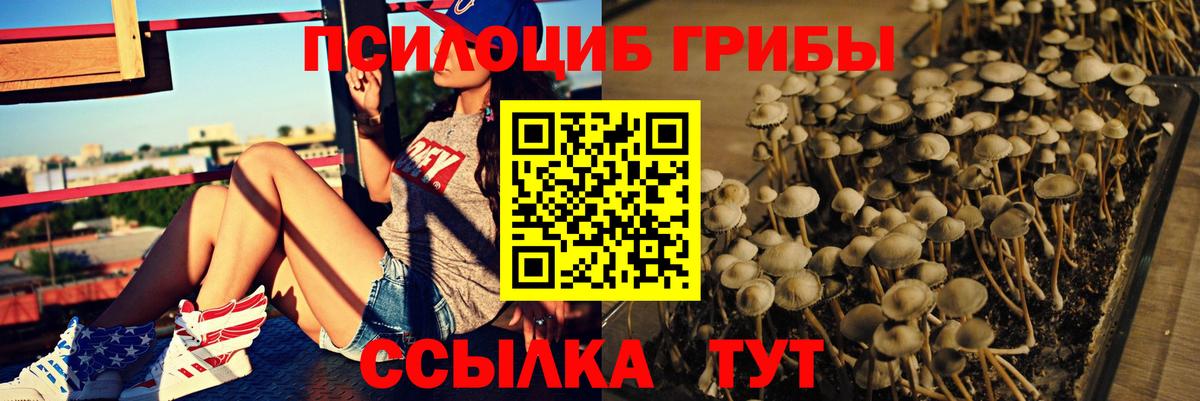 Галлюциногенные грибы мицелий Апшеронск